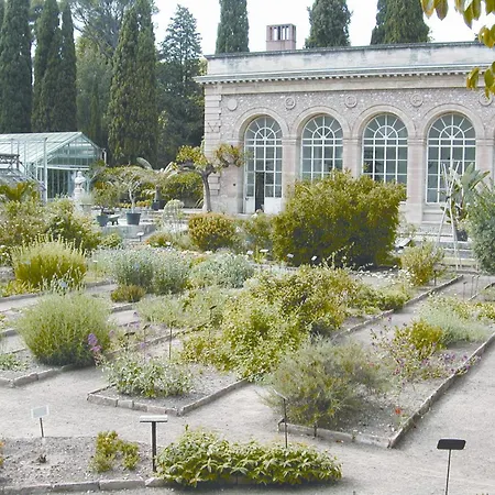 Ecusson Saint Roch - Magnifique Au Calme 公寓 蒙彼利埃