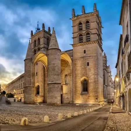 Apartament Ecusson Saint Roch - Magnifique Au Calme