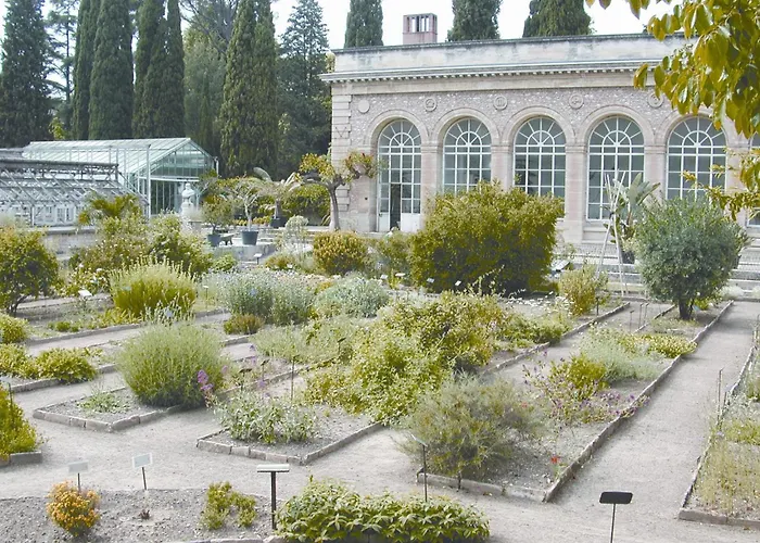 Ecusson Saint Roch - Magnifique Au Calme Appartement Montpellier